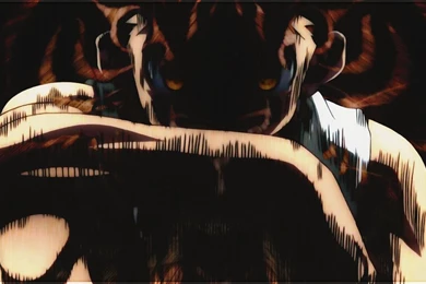 Hunter X Hunter Wallpapers