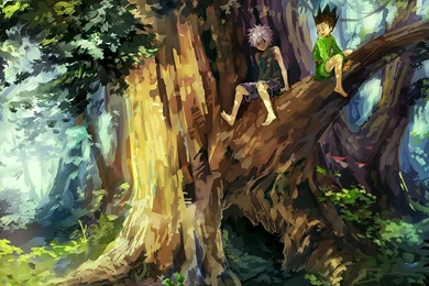 Hunter X Hunter HD Wallpapers