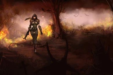 Diablo 3 Demon Hunter Wallpapers 199863