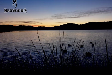 Browning Logo Wallpaper Images