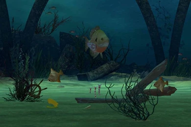 Shipwreck Desktop Wallpapers