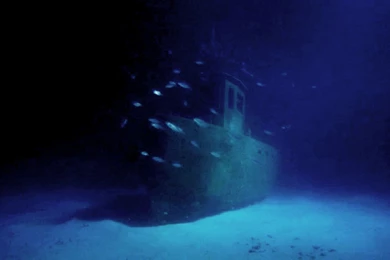 Michael Pitts   Underwater Cameraman