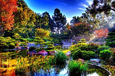 350 Scenic HD Wallpapers