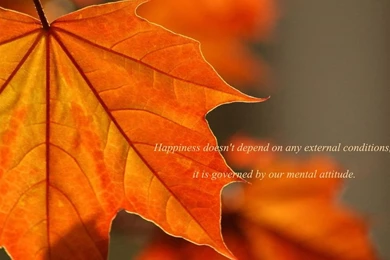 Oak Rust Colored Leaves iPad Air Wallpapers Download