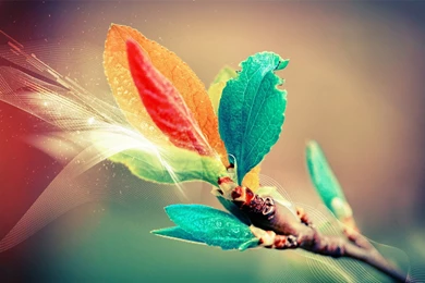 3D Colourful Graphic Art Photography HD Wallpapers.jpg