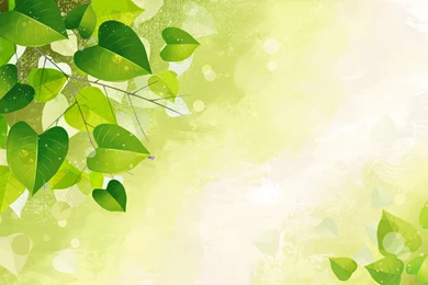 Leaf Wallpapers   Nice Flowers Wallpapers