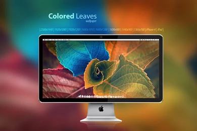 Colored Leaves Wallpapers By Martz90 On DeviantArt