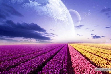 Beautiful leaf wallpapers1 1024x640.jpg