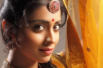 Shriya Saran Bollywood Wallpapers