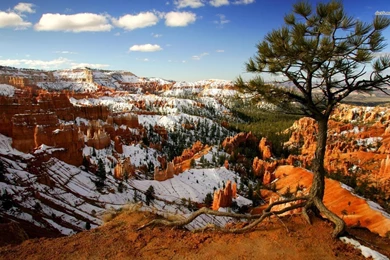 Snow In Bryce Canyon National Park Wallpapers   Nature Wallpapers ...