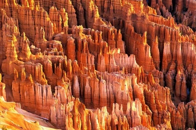 Bryce Canyon, National Park In Utah, United State   Tedy Travel