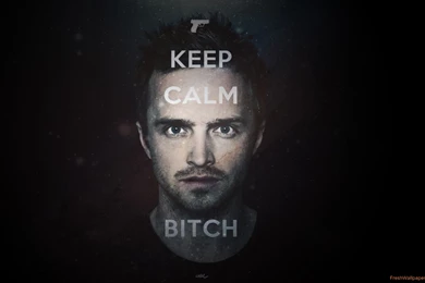 Aaron Paul As Jesse Pinkman In Breaking Bad Wallpapers ...