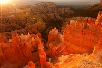 35405_1600x1200 wallpaper cb1305222616.jpg