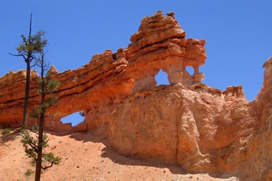 Bryce Canyon In Utah >> HD Wallpaper, Get It Now!