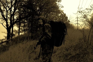 P Get Out Of Here Stalker Wallpapers   (