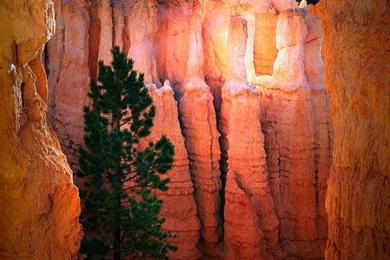 Bryce Canyon National Park Photos