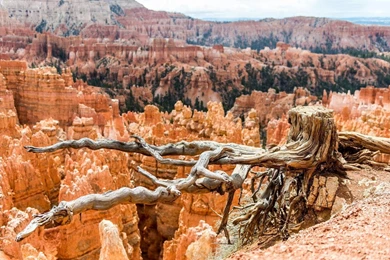 Bryce Canyon National Park Wallpapers
