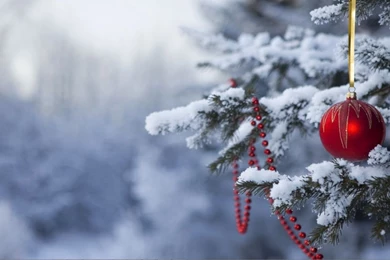 Holiday Season Backgrounds