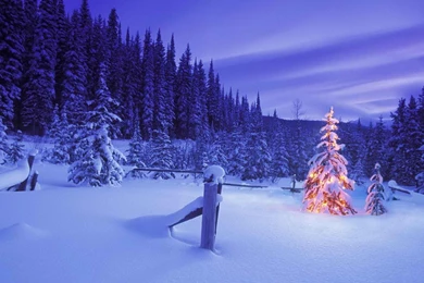 30+ Christmas And Holidays Wallpapers And Ringtones « Android.AppStorm