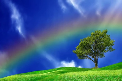 Real Rainbows   Wallpaper.