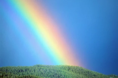 Real Full Rainbows   Wallpaper.