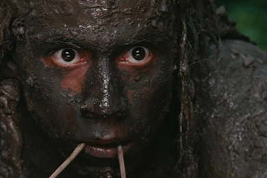 Apocalypto Computer Wallpapers, Desktop Backgrounds