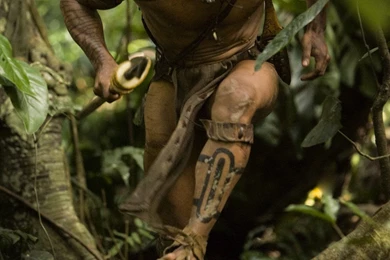 Apocalypto, Gerardo Taracena Still. Watch Photo Of Apocalypto ...