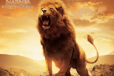 Pic > Aslan The Lion From Narnia