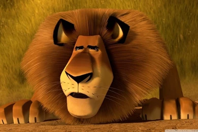 Madagascar 3 Alex The Lion HD Desktop Wallpapers : Widescreen ...