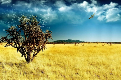 Free Photographs Obtain Excessive Decision   HD Images New