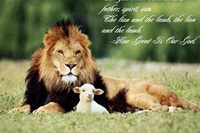 The Lion And The Lamb Wallpapers   Christian Wallpapers And Backgrounds