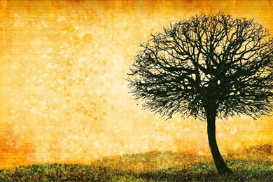 Tree Art Wallpapers