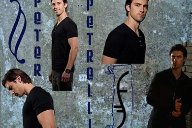 Peter Petrelli Wallpapers 2   Milo Ventimiglia Wallpapers (2525488 ...
