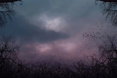 Download Creepy Wallpapers High Quality Resolution