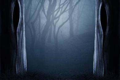 Pictures > Creepy Forest Backgrounds
