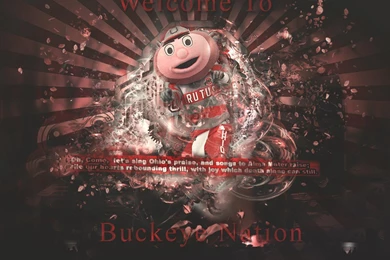 Buckeyes   DeviantArt