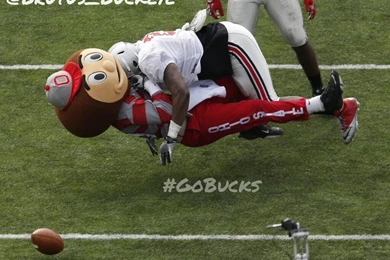 4 7_Brutus_Buckeye_hit.jpg