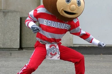 Brutus Buckeye Wallpapers