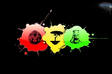 Nexus Desktop Wallpapers   Wallpapers HD Wide