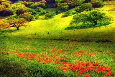 Nexus Desktop Wallpapers   Wallpapers Cave