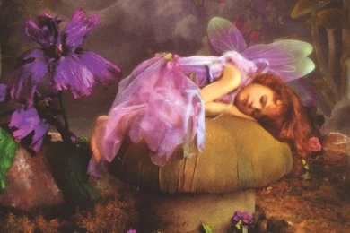 Free Wallpapers   Free Art Wallpapers   Angel Wallpapers   1024x768   2