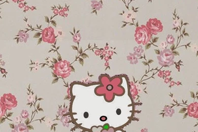 Dazzle My Droid: 4 Piece Floral Hello Kitty Walls