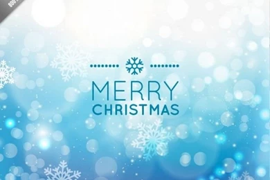 Blue Christmas Backgrounds With Snowflakes Vector