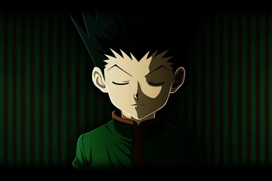 DeviantArt: More Like Hunter X Hunter Wallpapers By DEOHVI