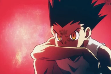 16 Gon Freecss HD Wallpapers