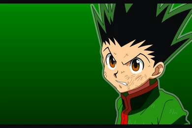 WALLPAPER 12 GON (HXH2011) By Gaston gaston On DeviantArt