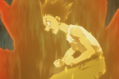 Anime Manga Gon Hunterxhunter Hunter AIaen Hunter Hunter AIaen ...