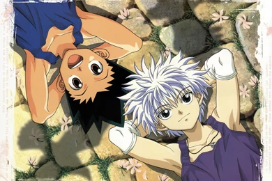 Hunter X Hunter Gon And Killua 3d Wallpapers Download