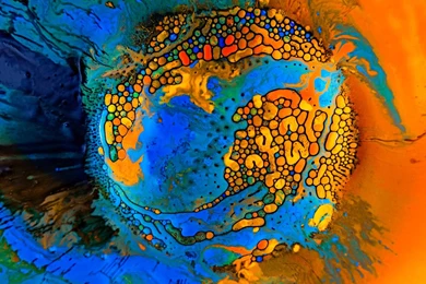 Trippy World Hd Wallpapers