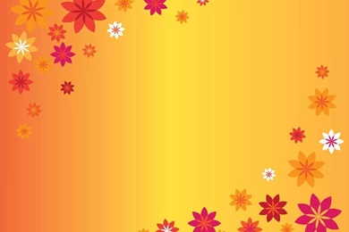 Wallpapers Flower Wallpapers Orange Flowers Wallpapers Orange ...